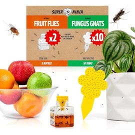 Super Ninja Gnat Traps for House Indoor - Fungus Gnat & Fruit Fly Traps - 10 Sticky Traps for Plants & 2 Highly Effective Fruit Fly Catchers for Indoors, Kid & Pet Friendly