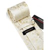 HISDERN Champagne Ties for Men Solid Floral Silk Paisley Mens