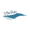CafePress Save The Blue Whales 10"x3" Rectangle Vinyl Bumper Sticker
