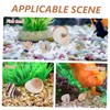 BESPORTBLE Sturdy Hermit Crab Shell Aquarium Ornament 9pcs Pack of