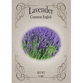 Set of Lavender Seed Packets - Create Your Dream Garden - Bulk Flower Seeds (50)