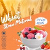 Perlapoc 40 PCS Wheat Straw Dinnerware Sets, Service for 8