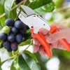 Garden Clippers Pruning Shears Fruit Tree Florist Scissors Hand Pruners