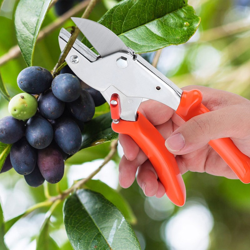 Garden Clippers Pruning Shears Fruit Tree Florist Scissors Hand Pruners