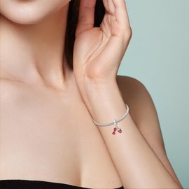 HONGRUI - Abalorio de plata de ley 925 para pulseras y collares, diseño de lazo de corazón, flores y mariposas, para mujeres, regalos de joyería de día festivo (equipo de fitness rojo)