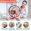 Dog Cone Inflatable Donut to Stop Licking After Surgery, Soft