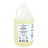 Salts Gone™ - 1 Gallon