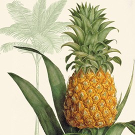 20 Napkins with Pineapple Motif, Pineapple Fruit Napkins, Tropical Fruits, Summer Table Decoration, Decoupage, Decoupage, 33 x 33 cm