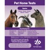 Pet Home Tests Equine