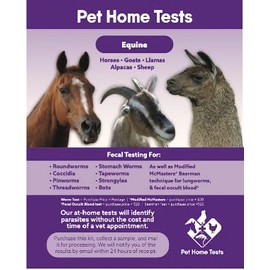 Pet Home Tests Equine
