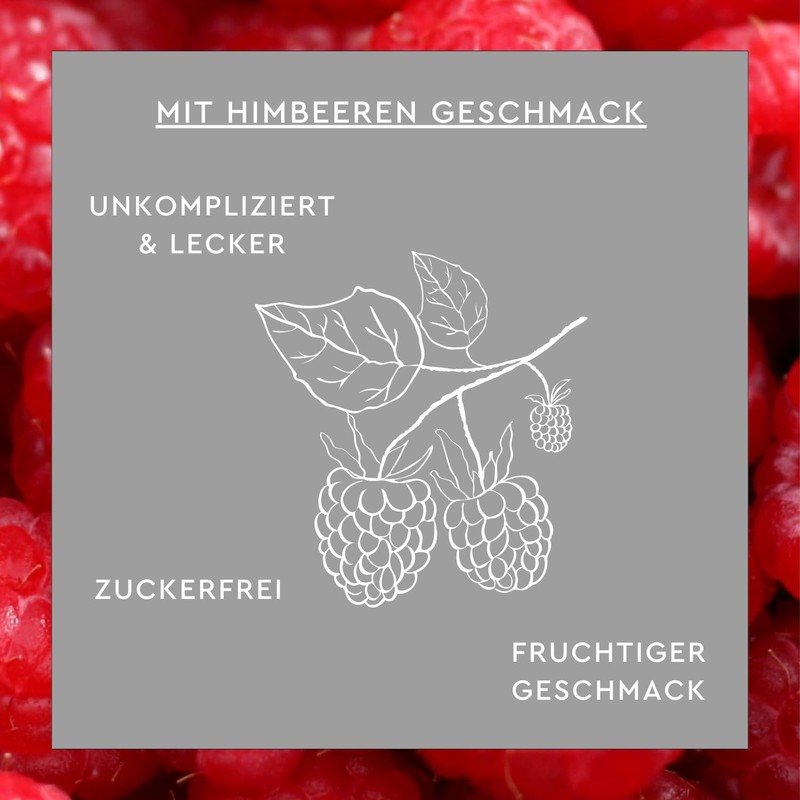 Sunlife 113726 Multivitamin Bear Lozenges