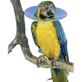 TODOPETS Aves 200mm Buster 4cm Interior Necklace