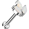 Covet Jewelry Titanium Threadless Push in Labret, Flat Back Stud