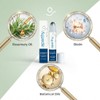 Aparthy Hair Growth Roll On, Rosemary & Menthol Scalp Serum,