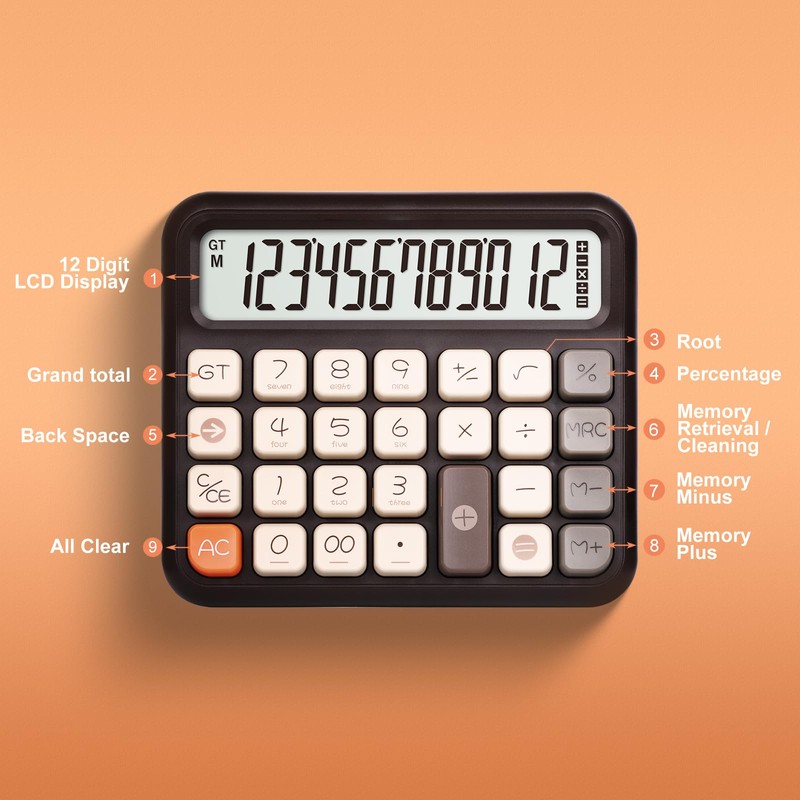Pendancy Desk Calculator 12 Digit, Retro Cute Basic Calculator with
