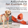 ThinkPet Dog No-Pull Sports Harness with Handle, for Medium and