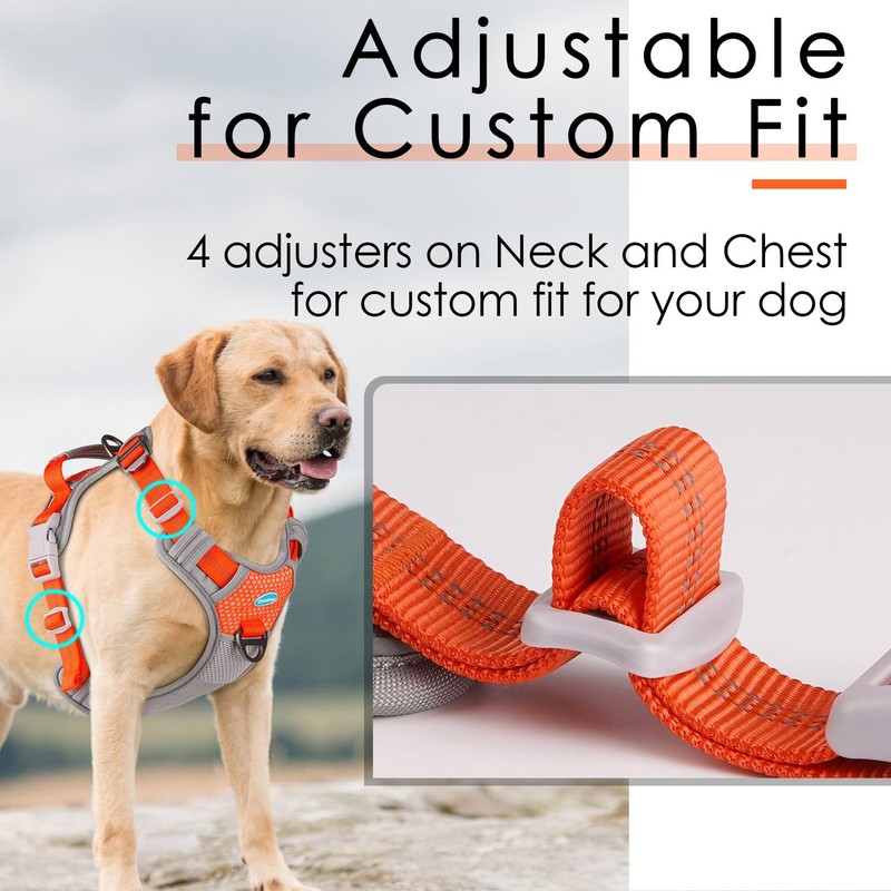 ThinkPet Dog No-Pull Sports Harness with Handle, for Medium and