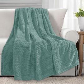 Homebliss Cuddly Blanket, 130 x 150 cm, Fluffy Fleece Blanket, Couch Blanket, Super Soft Fleece Blanket as Sofa Throw or Bed Throw, Bedspread, Mint Green