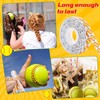 Thiccywoov 25 Yard Softball Ribbon Grosgrain Softball Party Favor Gift