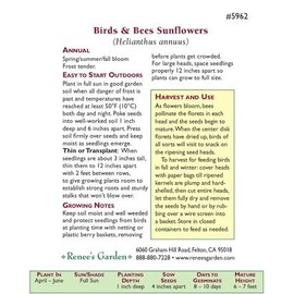 Sunflower, Songbird/Pollinator,"The Birds & The Bees" - Heirloom