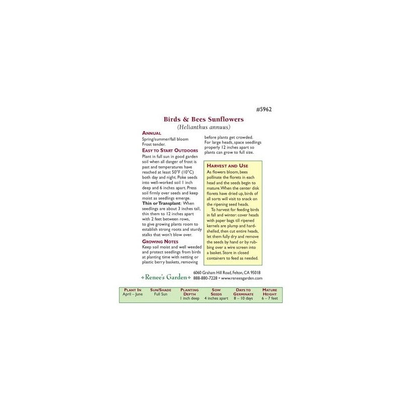 Sunflower, Songbird/Pollinator,"The Birds & The Bees" - Heirloom