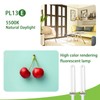 Dameiol (2 Pack) 13W Type E Replacement Tube Light Bulb