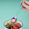 Berglander Rainbow Teaspoon, Stainless Steel Tea Spoon Dessert Spoon with