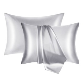 NOLRDR Mulberry Silk Pillowcase 2 Pack for Hair and Skin with Hidden Zipper,Both Sides 19 Momme Smooth and Breathable Silk Pillow Cases Set of 2 (Silver, Standard 20''×26'')