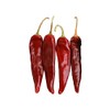 Guajillo Pepper Medium Hot 10 Seeds - Rare and Non-GMO