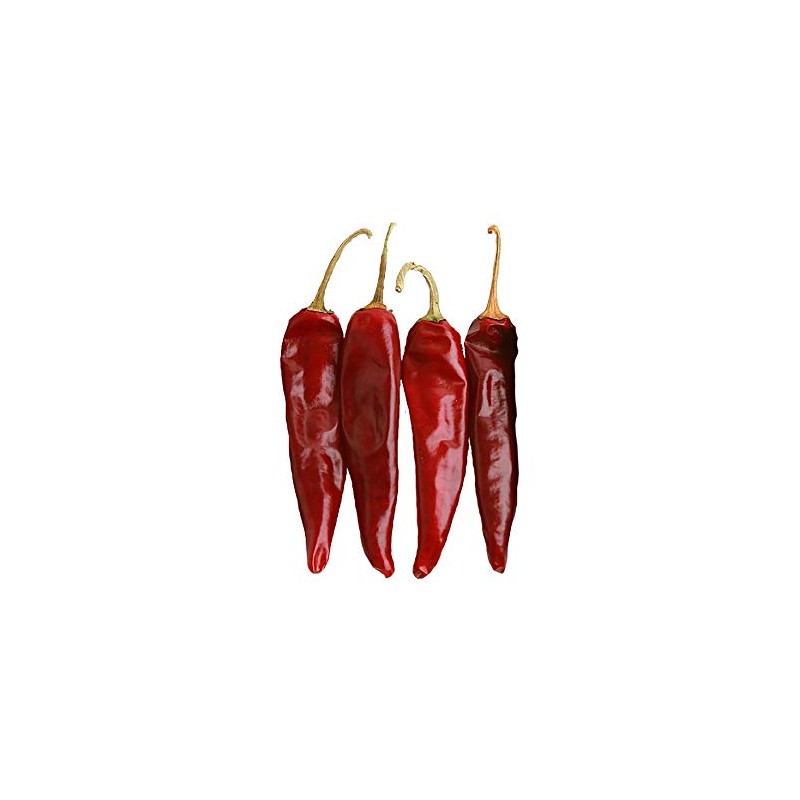 Guajillo Pepper Medium Hot 10 Seeds - Rare and Non-GMO