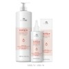 Revivre Exence density shampoo, skin bath invigorating and invigorating (200