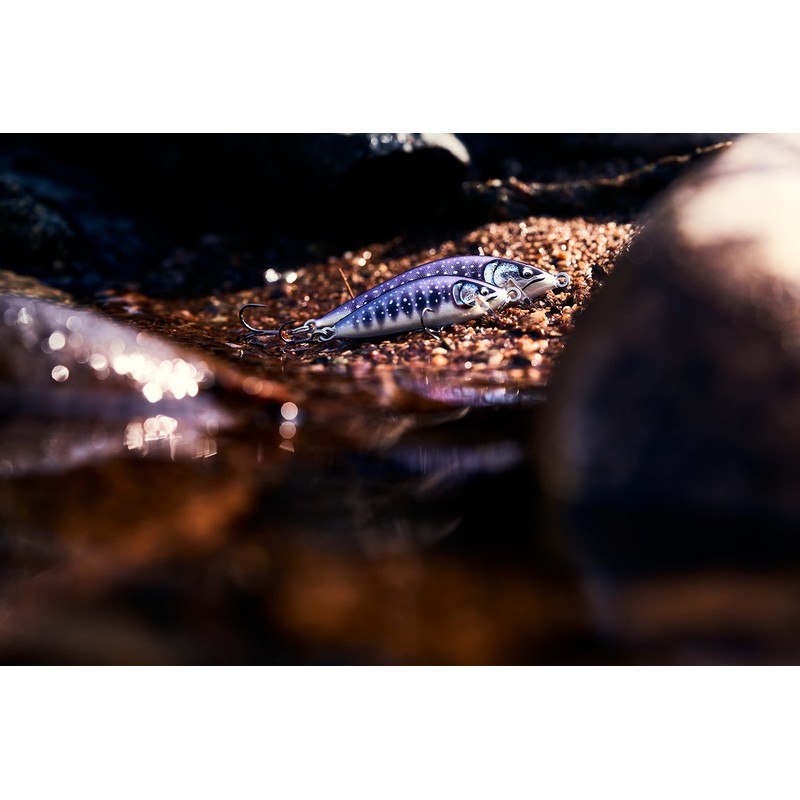 Countdown Elite 55 Gilded Iwana