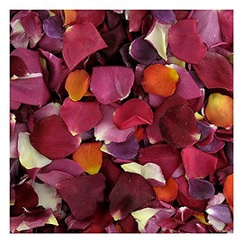 Rose Petals 60 Cups. Romantic Rendezvous Preserved Freeze Dried Rose Petals. Wedding Decoration. Real Rose Petals. Made in The USA. No Tariffs.