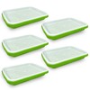 Gardzen 5-Pack Sprouts Growing Kit, Bean Sprouts Tray, Soil-Free Sprouting