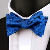 Alizeal Mens 2pcs Paisley Jacquard Self-Tie Bow Tie Pocket Square
