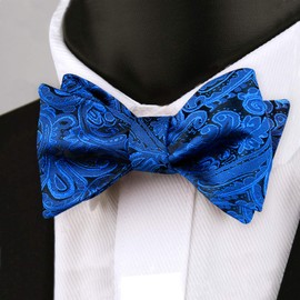 Alizeal Mens 2pcs Paisley Jacquard Self-Tie Bow Tie Pocket Square Set (Royal Blue)