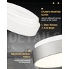 AUTELO 12" Flush Mount Ceiling Light Fixture, Frosted Glass Shade