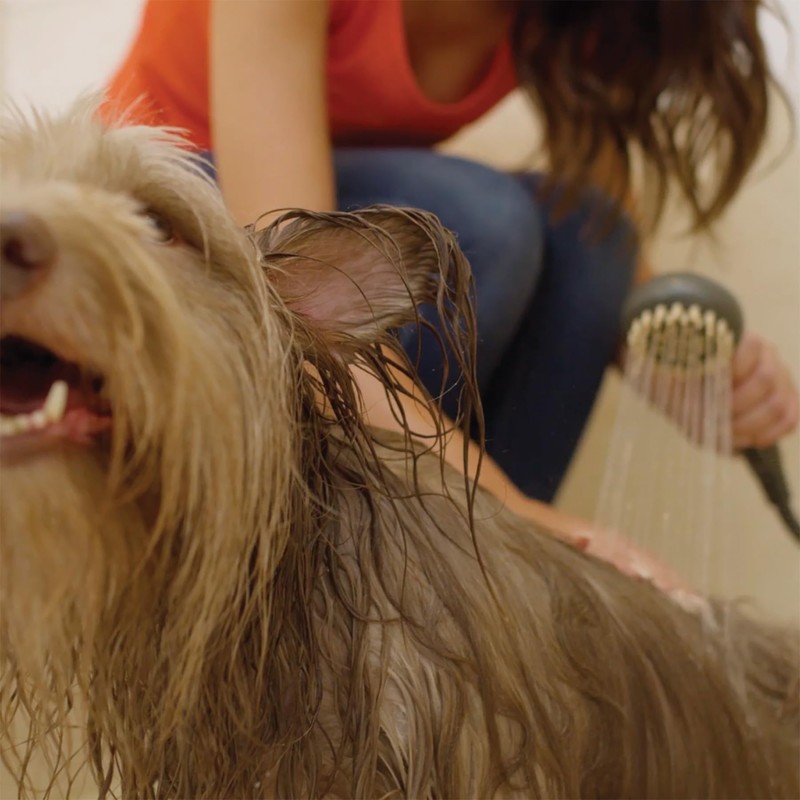 Oxygenics PawSpa SuperWash Complete Pet Washing Kit