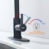 Keer Matte Black Single Handle Pull Down Kitchen Faucet with