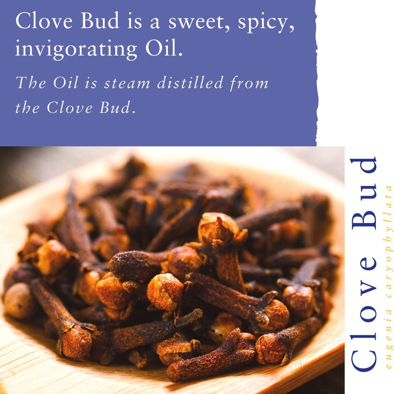 Absolute Aromas Spicy Essential Oils Set - Pack of 3