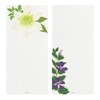 Midori 89587006 Single Pencil Notebook, Summer Letter, 4 Patterns, Summer