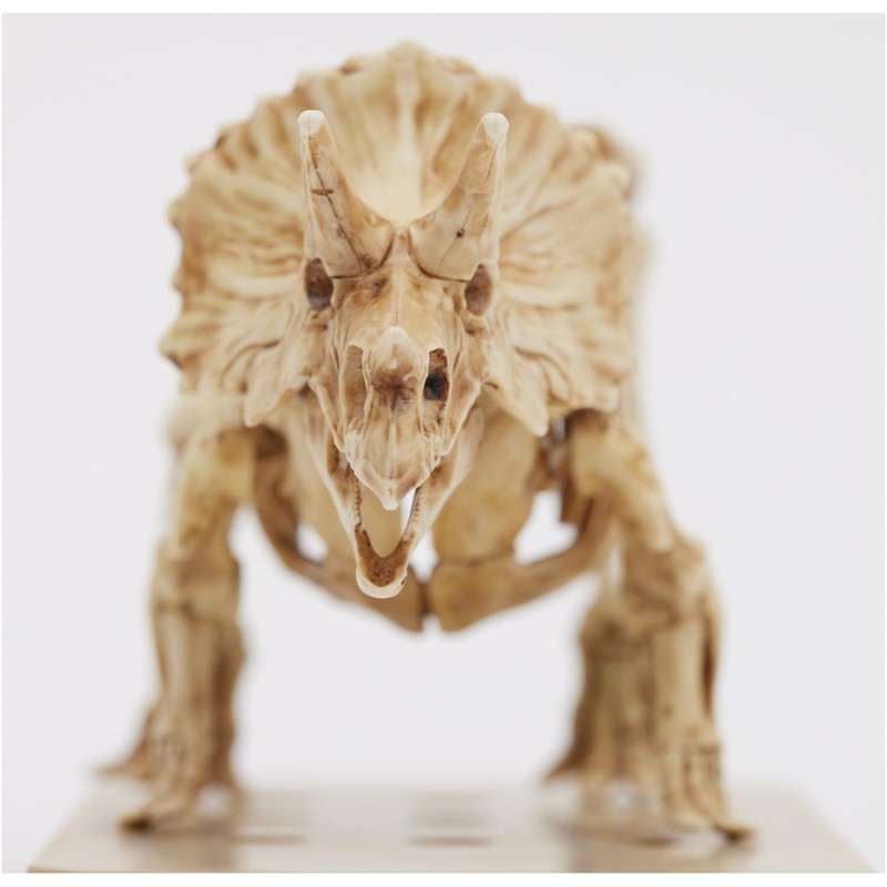 GSI Creos PSMS02 GSI Creos Planosaurus Marker Set Triceratops/Stegosaurus Set
