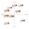 Cezanne Toneup Eye Shadow 09 Brick Brown, 0.09 oz (2.6