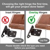Decobasics 1/2" Overlay Matte Black Cabinet Hinges (1 Pair -2