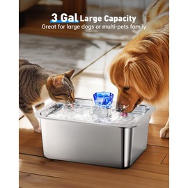 Stainless Steel Dog Water Fountain, 3 Gallon Extra Large Pet Drinking Fountain for Large Dogs & Multi-pet, Automatic Dog Water Bowl Dispenser with 2 Filters, Wide Drinking Area, Easy to Clean