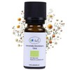 Sala Strawflower Oil Aroma Immortelle Oil Natural Pure Organic –