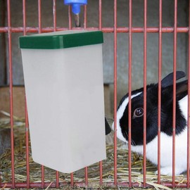 BRANDNEWS 1L Pet Water Dispenser Automatic Water Feeder Hanging Water Bottle Leakproof Rolling Ball Type Water Drinking Dispenser For Small Animal Rabbit Hamster Guinea Pigs Ferrets nice-looking