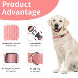 Modern Stylish Ecollar Replacement Strap, Nylon 3/4" Replacement Collar for Shock Collar with Quick Release, Soft Comfortable E Collar Replacement Strap for Small Medium Large Dogs (Pink & Blue)