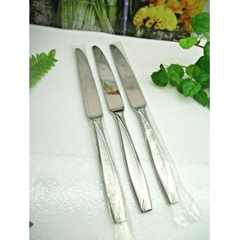 Oneida 3    Oneida  Gourmet Collection  CAMLYNN  Stainless Steel  Dinner Knives  NEW