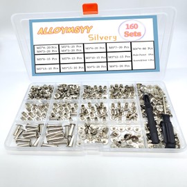ALLOYMSYY 160Sets Chicago Screws with Hole Puncher and Screwdriver Leather Rivet Assorted，10 Sizes of Screw Rivets Chicago Screws for Decorate and Repair Leather Craft Belt Bag Shoes Purse Bookbinding